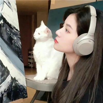 汤姆猫与杰利鼠：间谍使命