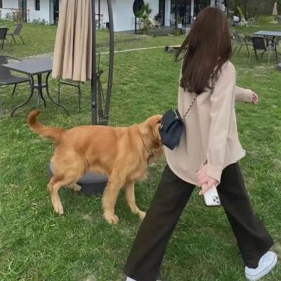 四格勇者